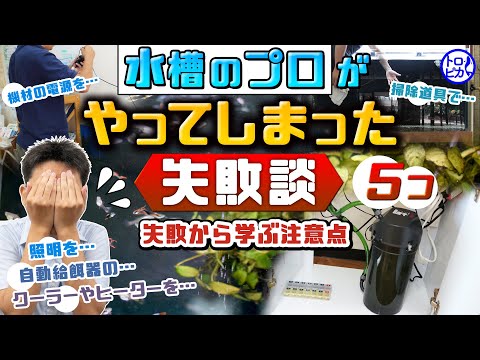 アクアリストの失敗例！水槽のプロがやってしまった失敗から学ぶ注意点！