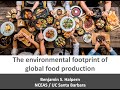 The environmental footprint of global food production