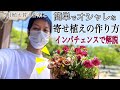 インパチェンスの寄せ植え解説しながら作ってみた　５月の植え替え作業を終わらせた