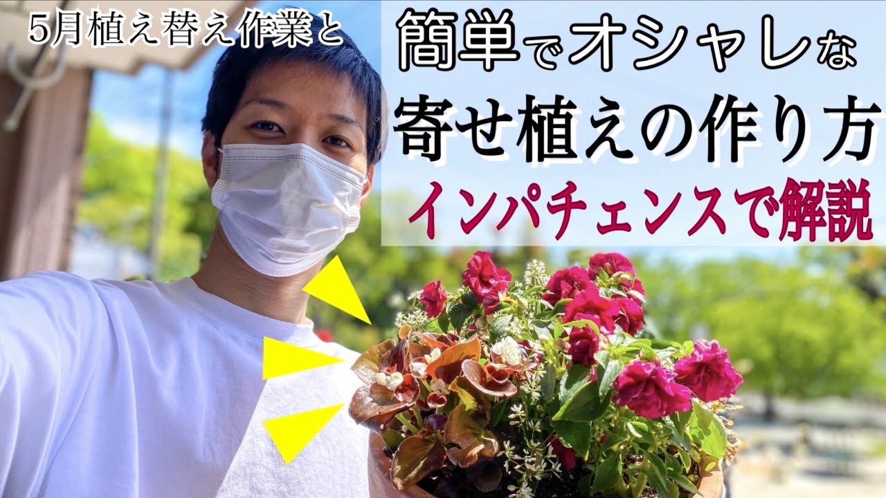 インパチェンスの寄せ植え解説しながら作ってみた ５月の植え替え作業を終わらせた Youtube