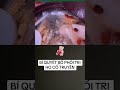 BÍ QUYẾT BỔ PHỔI TRỊ HO TẠI NHÀ.