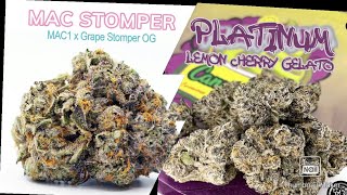 S6 Episode 11 Mac Stomper + Platinum Lemon Cherry Gelato Strain Review