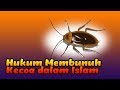 Hukum Membunuh Kecoa dalam Islam