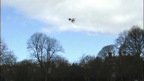 Home Made 6mm Depron RC Delta Wing