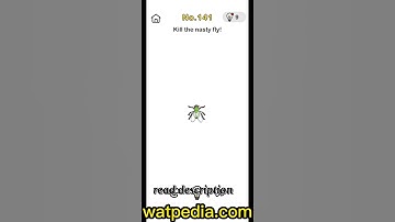 BRAIN OUT Level 141 KILL THE NASTY FLY