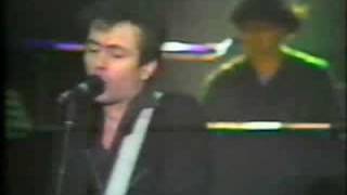 the Stranglers - Baroque Bordello (live No Nukes)