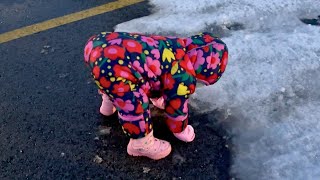 Adorable Baby Girl In Snowsuit Can't Get Up! (Cutest Ever!!)