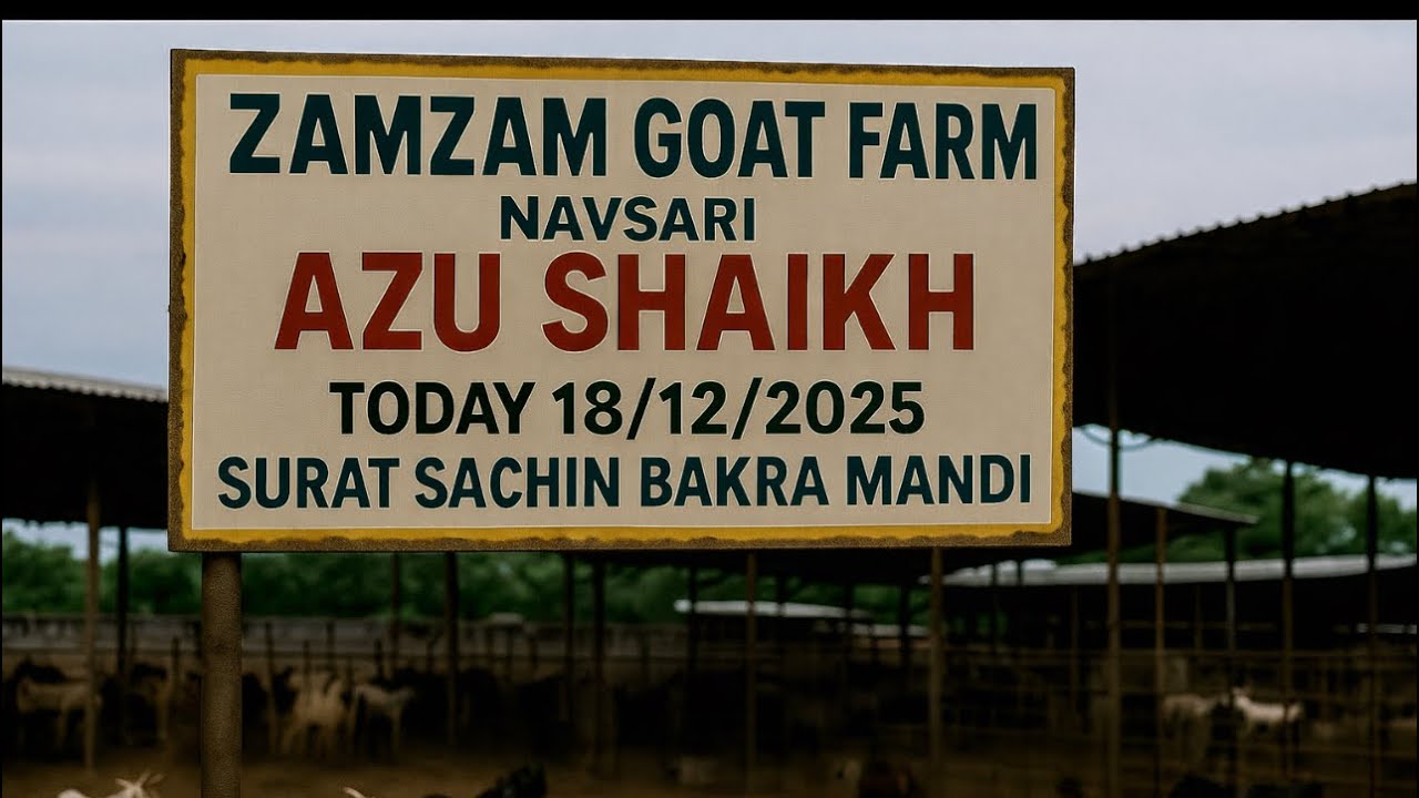 SURAT SACHIN BAKRA MANDI , 18/12/2025 BY:- ZAMZAM GOAT FARM NAVSARI (AZU BHAI) , ÍÍ SURAT MANDI ÍI