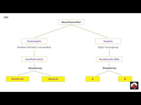 Video: Perbezaan Antara Neurotransmitter Terangsang Dan Menghambat