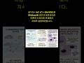 공식 E = mc² √(1 + (dw/dt)²) 을 Minkowski 공간과 일반상대성 이론의 시공간에 연결해서 설