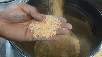 Lentil peeling and splitting machine in China