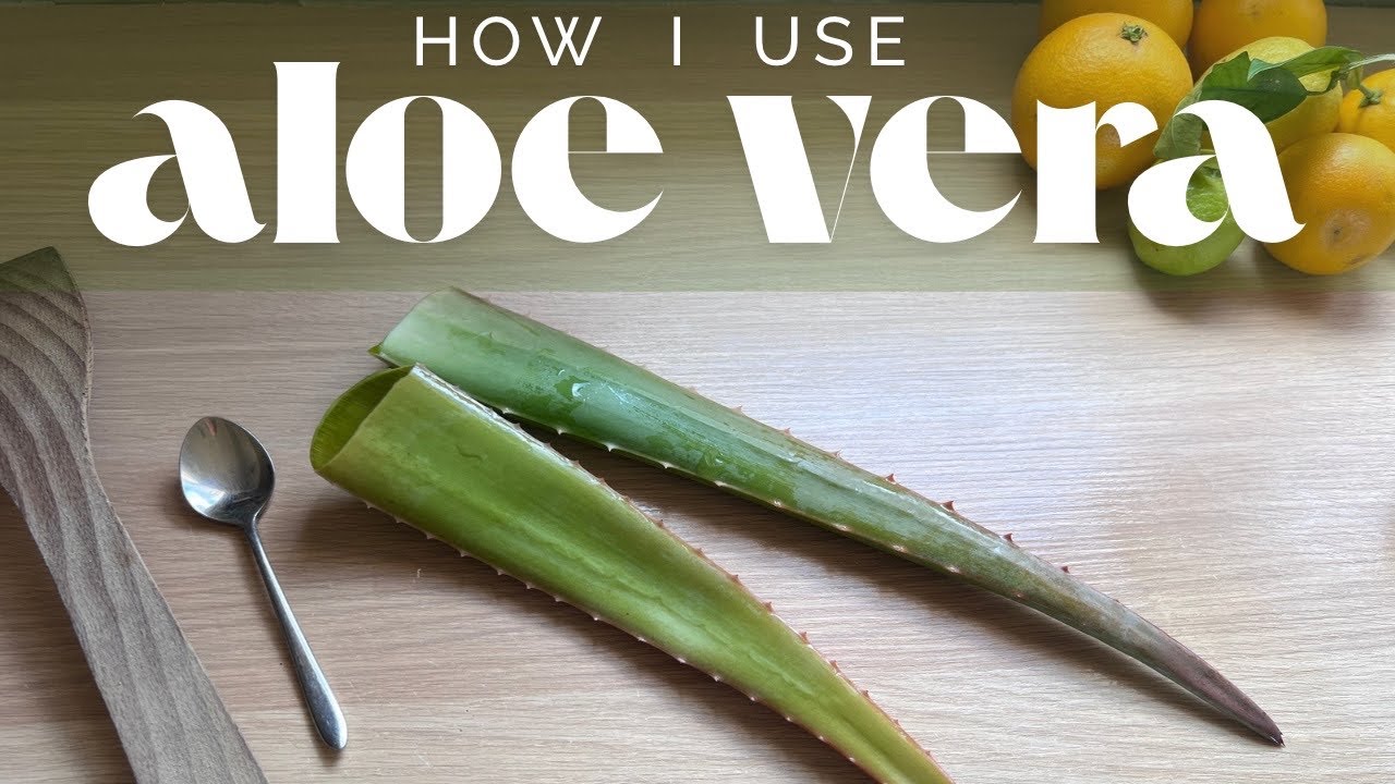 How I Pick, Prepare & Use Fresh ALOE VERA Natural Skincare ...
