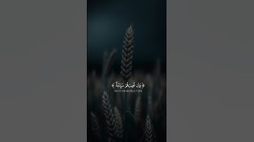 سورة النساء 🤍 #foryou #اكسبلور