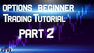 Options Beginner Trading Tutorial - The Put Part 2