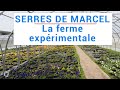 Serres de Marcel, la ferme expérimentale de Ver de Terre Production