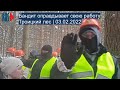 ⭕️ Бандит оправдывает свою работу | Троицкий лес | 03.02.2022