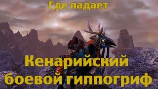 Как получить Кенарийского боевого гиппогрифа