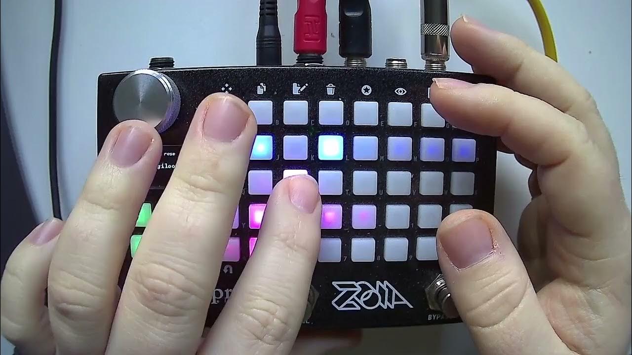 Empress ZOIA patch walkthrough (updated) "Utility loopers Digiloop and Cond. Looping