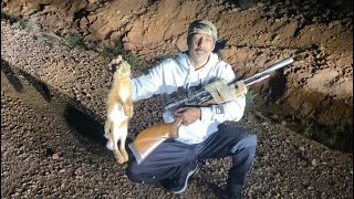 صيد ارانب في بندقية هوائية ام صكمة من ابوسعد rabbit hunting  relaks72