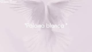 Chiquis Rivera - Paloma Blanca (letra)