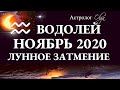 ВОДОЛЕЙ - НОЯБРЬ 2020 - ЛУННОЕ ЗАТМЕНИЕ в 5 доме. Астролог Olga