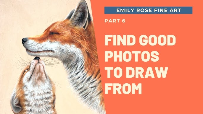 The Best Pastel Paper for Wildlife Drawings - Emily Rose Fine Art