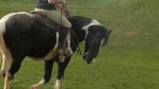 Jiffy.wmv