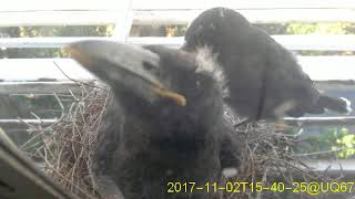 20171102T1530~1600