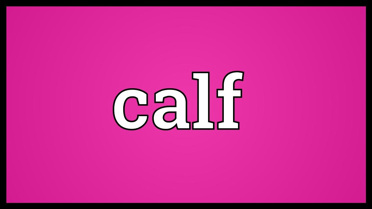 Calf Meaning YouTube Calf Meaning YouTube
