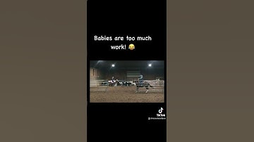 Team sorting on a steer #moothecow #foryou #teamsorting