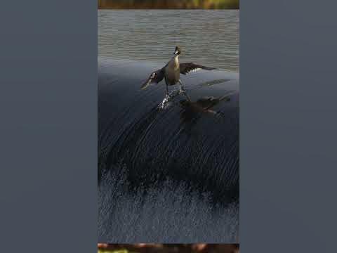 ФОТО ОДИН НА МИЛЛИОН… - YouTube