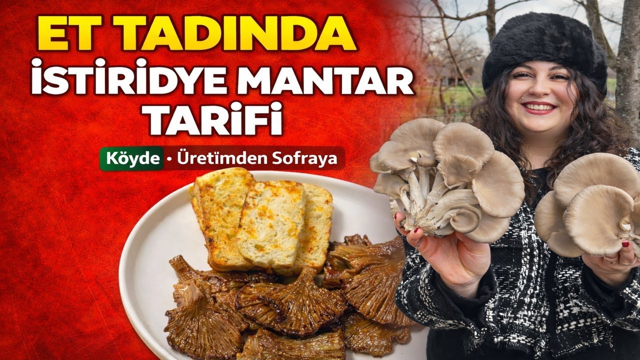 ET TADINDA İSTİRİDYE MANTAR TARİFİ   - MANTARLAR KENDİ ÜRETİMİMİZ