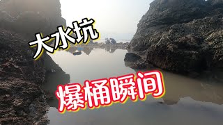 今天抽的大水坑太给力了这么多鱼在水坑里疯狂扑腾让人大开眼界