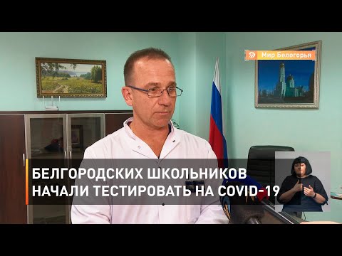 Белгородских школьников начали тестировать на COVID-19