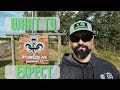 Review of wildwood mx  what to expect  mx in louisiana