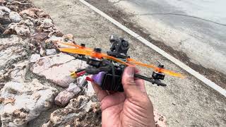 Geprc Dolphin 4 W Naked Caddix Polar Nano And 100Mw Elrs Casual Flight