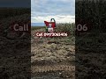 Silage harvester crawler type #trending #automobile #machinerychannel #gardeningequipment #livestock