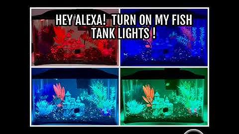 Hey Alexa!  Turn on my Fish Tank Lights !