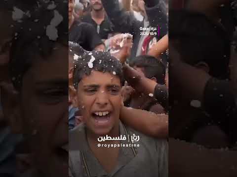 احتفالات في خانيونس فرحا بقرار وقف اطلاق النار 