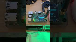 IMG 6950