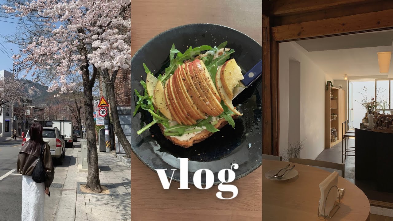 VLOG. 봄맞이 서촌 나들이..🌹 요즘 서촌에 어디가 핫하냐면요🫧 나혼자 맥드라이브스루. 홈메이드 오픈토스트. 벚꽃엔딩🌸
