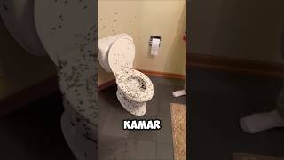This Family Came Home from Vacation to Find Thousands of Spiders 😱