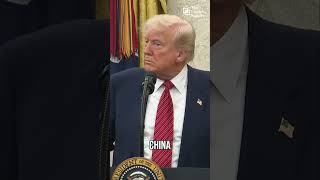 President Trump: "I think they ought to go back and study their files"
