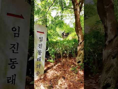 임진동래의총