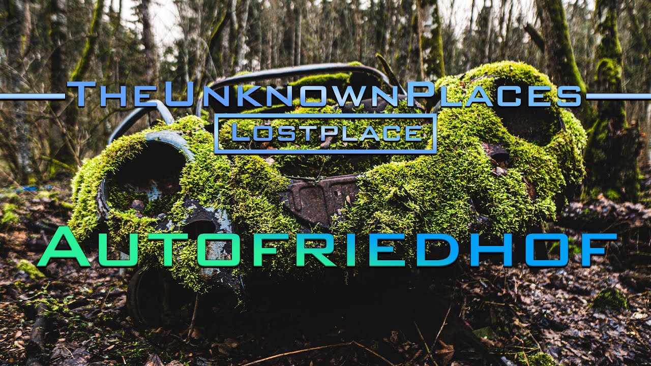 Lostplace: In diesem kleinen 🌳Wald🌳 liegt wirklich alles😡, inkl. 🚘Autowracks🚗 !