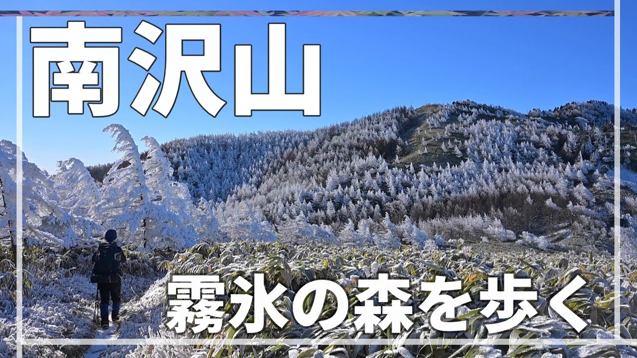 【南沢山～横川山】青空と白銀の世界、霧氷の森を歩きます　rime ice