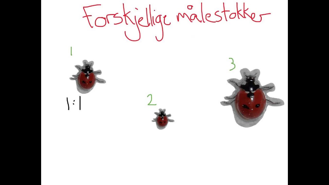 Målestokk #2 - YouTube