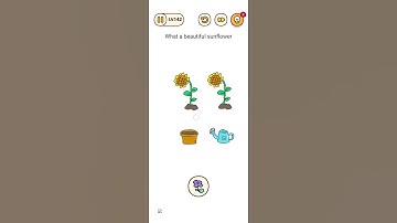 Brain find Level 142 gameplay what A Beautiful sunflower #brainout #brainfind_level #games