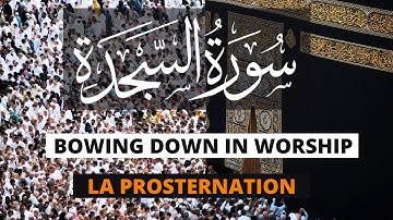 SURAH AS-SAJDAH مؤثرة - سورة السجدة Healing | Omar Hisham | Arabic , English, French translation