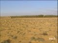 Tunisie Palmeraie Et Ksar Tunisie Palmeraie Et Ksar
